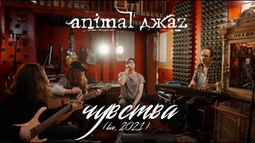 Animal ДжаZ — Чувства (Акустика, Live, 2021)