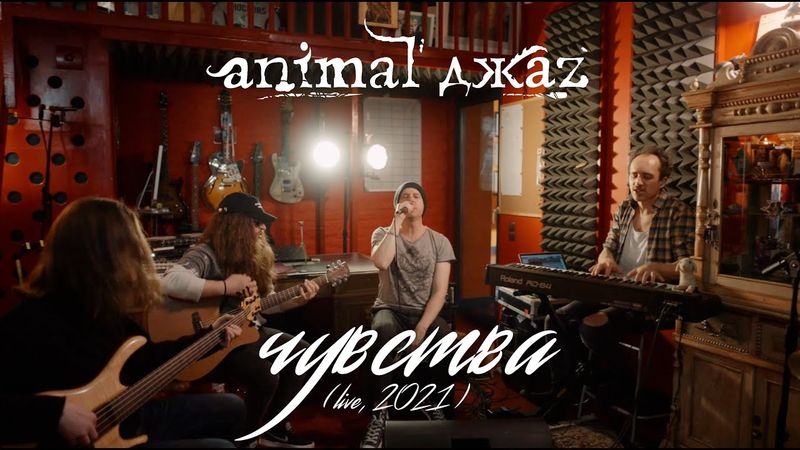 Animal ДжаZ — Чувства (Акустика, Live, 2021)