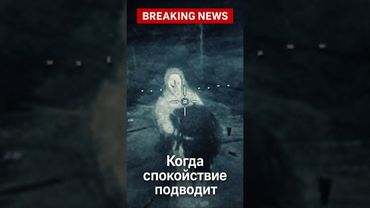 Когда спокойствие подводит