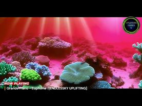 UPLIFTING TRANCE #019 ( Summer 2025 Part.3)