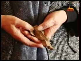 Новости ГТРК  ИР  Государство Алания ЮжнаяОсетия АЛАНИЯинфформ 25