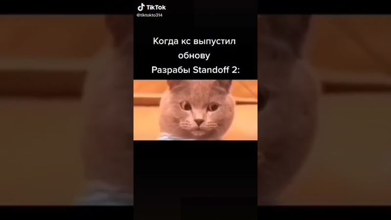 Бешенный кот долбит по клаве