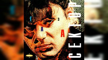 Сектор Газа - Дураки