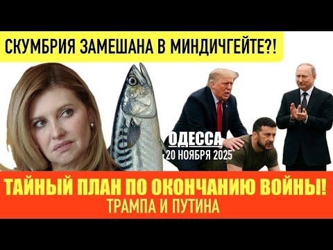 ОДЕССА 20 НОЯБРЯ 2025. ТРАМП ОТПРАВЛЯЕТ ЧИНОВНИКОВ ПЕНТАГОНА В КИЕВ! ПЛАН МИРА ОТ США И РФ.