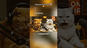 Кто в доме главный по версии кота! #мем #позитив #cat