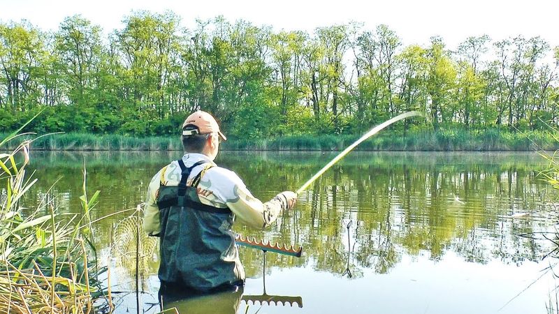 Хитрый КАРАСЬ на ПОПЛАВОК. Рыбалка на карася в камышах на маховую удочку в мае. Поплавочная удочка
