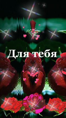 #розыдлятебя