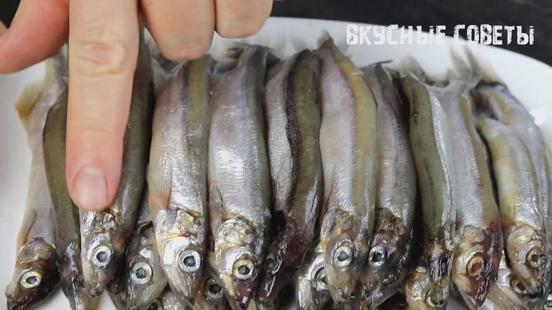 Мойву больше НЕ ЖАРЬТЕ! Есть способ вкуснее, без гари и запаха.