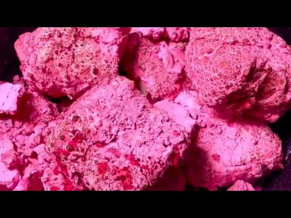 Hot Pink Pasted Freshies 💕