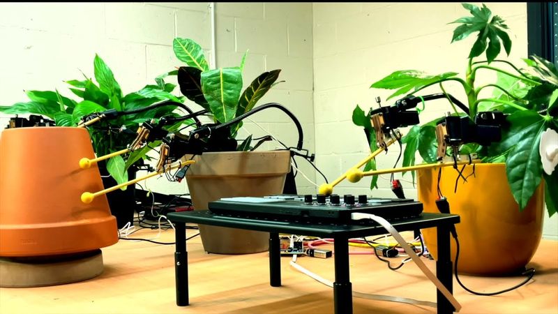 Three Plants Having a Jam