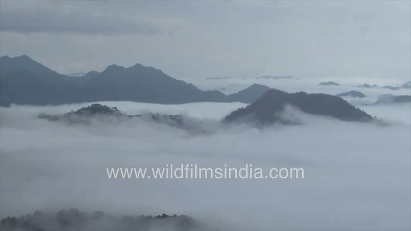 From the low and steamy plains rise these lovely Himalayan monsoon clouds