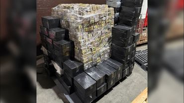 Белорусские таможенники пресекли поставку крупнейшей партии наркотиков и психотропов - около 1300 кг