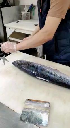 TikTok video #7042287692566072578