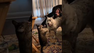 Zeynep Abdullah ismini taşıyan ünlü kişilerin biyografileri