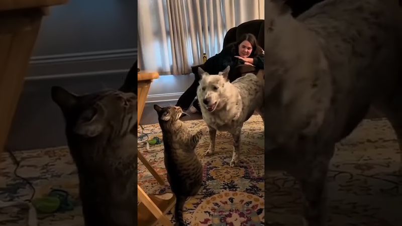 Zeynep Abdullah ismini taşıyan ünlü kişilerin biyografileri