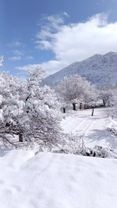 Showy Day Of Jaghori Ghazi Afghanistan.🇦🇫🏔️🌨️ #nature #snow #beutiful...