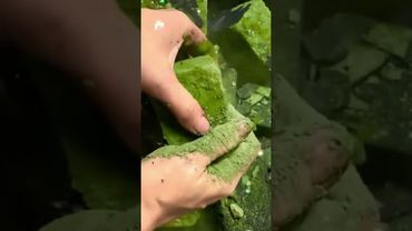 Extra Flakey Dusty Soft Green Chalk