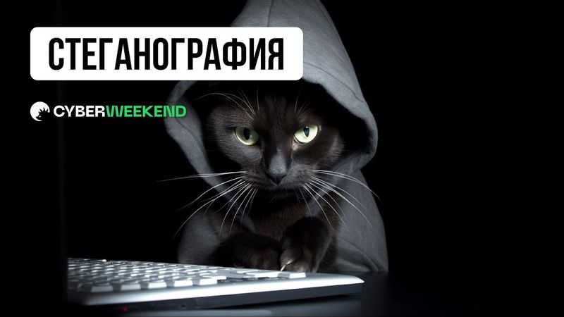 Стеганография - скрываем сам факт наличия скрытых данных | Mik1st