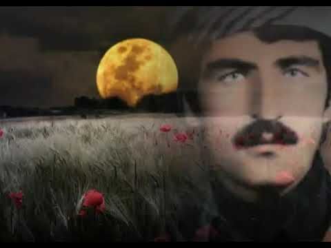 Fatah xorasana, تروپکی ڕزکاری