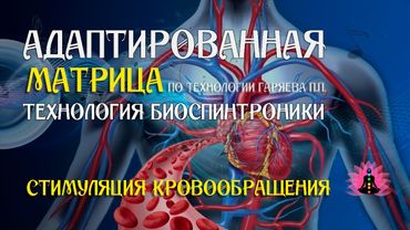 Стимуляция кровообращения 🎶 программа матрица по технологии Гаряева П.П ☀️ SoftRadio.ru