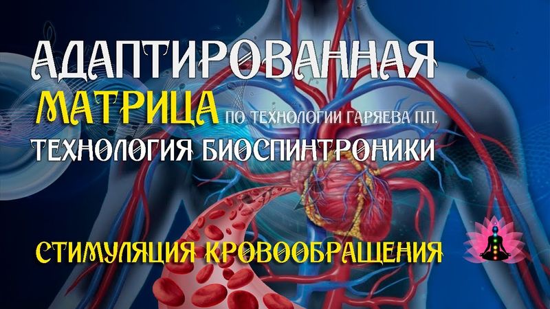 Стимуляция кровообращения 🎶 программа матрица по технологии Гаряева П.П ☀️ SoftRadio.ru