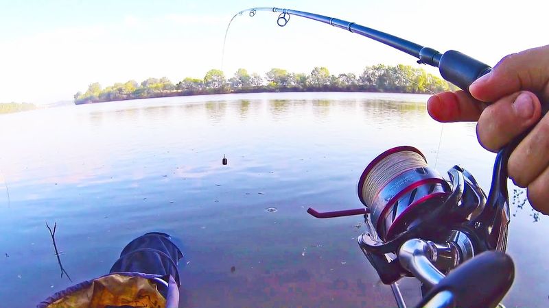 Ловля КАРАСЯ на ФИДЕР в реке с течением. Карась на фидер. Рыбалка на карася в реке весной