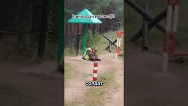 Смех на фоне 🤣