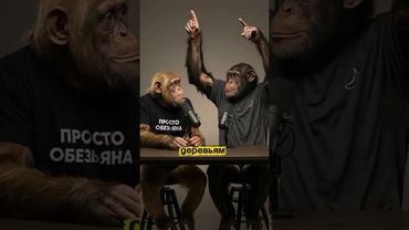 На работу не устроился похоже я Обезьян с GPU в руке Ахаххахаа 👻🐒