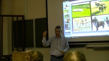 Великие вымирания в истории Земли