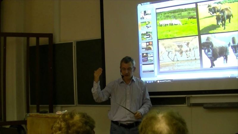 Великие вымирания в истории Земли