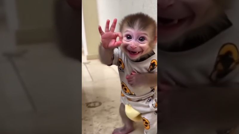 monkey 🐒👌👌 cute smile 🐵🐵#shots # monkey