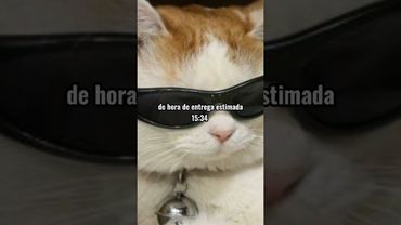 POV:pides comida con la bakusquad...//