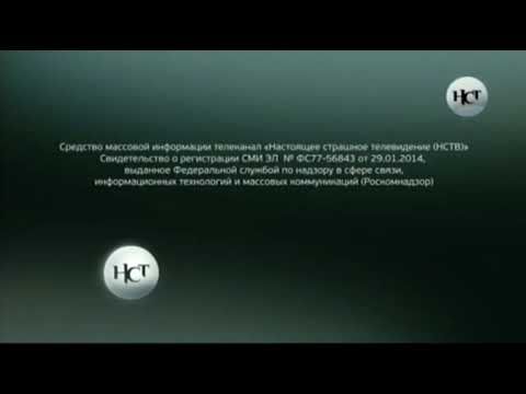 Свидетельство о регистрации (Настоящее страшное телевидение, 2017-2021)