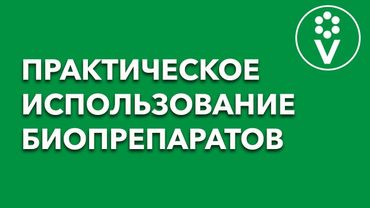 Запись семинара об использовании и размножении биопрепаратов