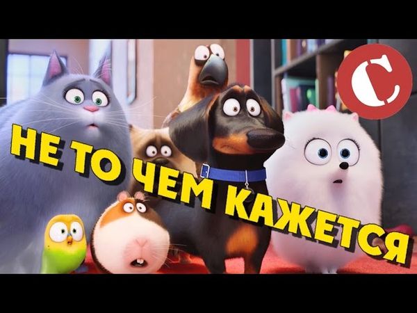 "Тайная жизнь домашних животных" - Самый драйвовый мульт лета [Коротенько]