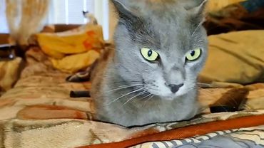 #Славянск. 17 августа 2025г. Вечер.