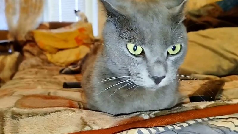 #Славянск. 17 августа 2025г. Вечер.