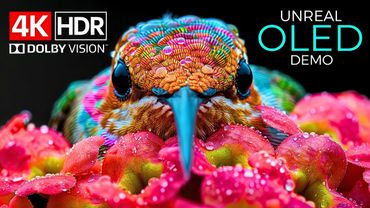 Unreal Quality – The Power of 4K HDR 120fps Dolby Vision (4K Video)