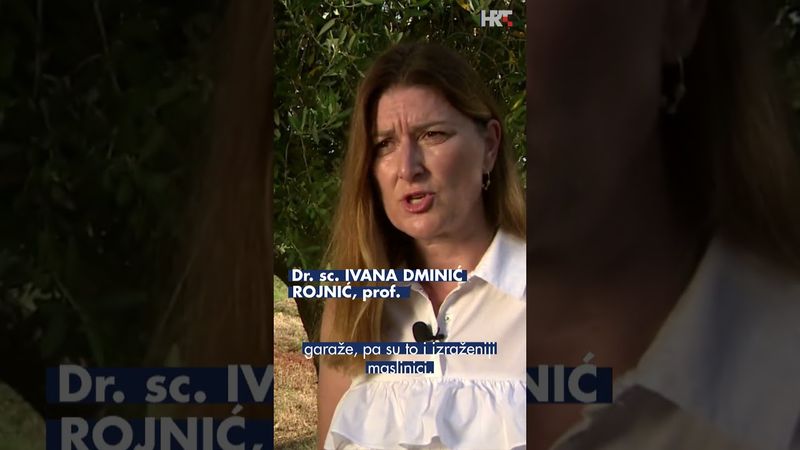 Maslinici pod nadzorom, pojavila se azijska stjenica