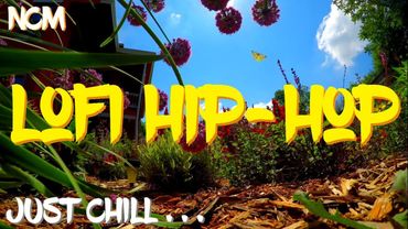 [Non-Copyrighted Music] Chill Jazzy Lofi Hip Hop (Royalty Free) Jazz Hop Music