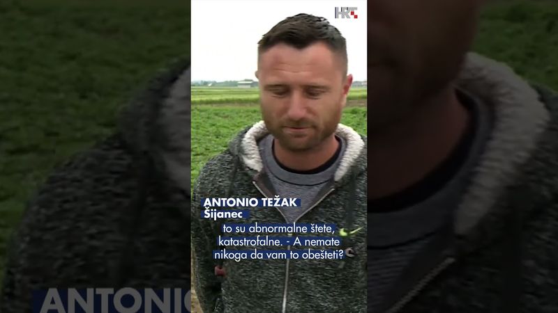 Vrane nanose ogromnu štetu usjevima, napadaju i ljude