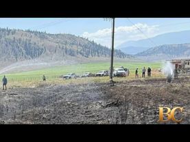 A bird dropped a fish on power lines and sparked a brush fire in Canada, firefighters say