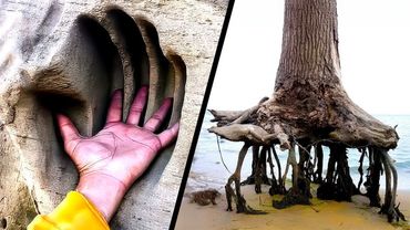 Сила Времени. Часть 7