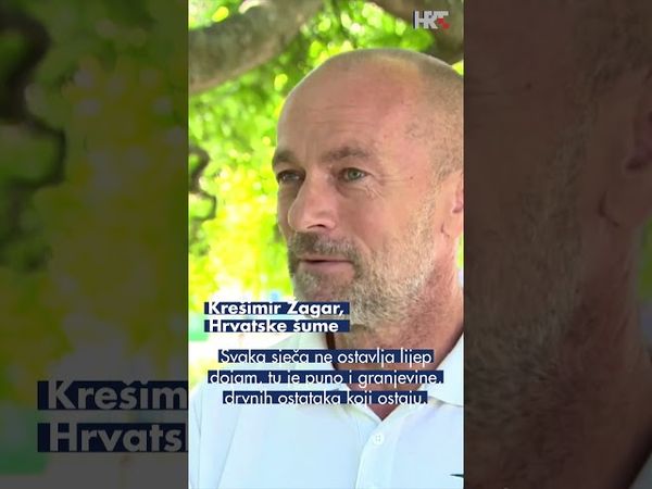 Borova šuma iznad Karina Donjeg posječena, iako je zaštićena