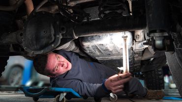 Это оживление вы запомните навсегда!