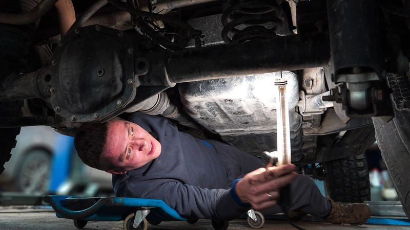 Это оживление вы запомните навсегда!