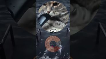 #shorts #кружок #мем #смешно