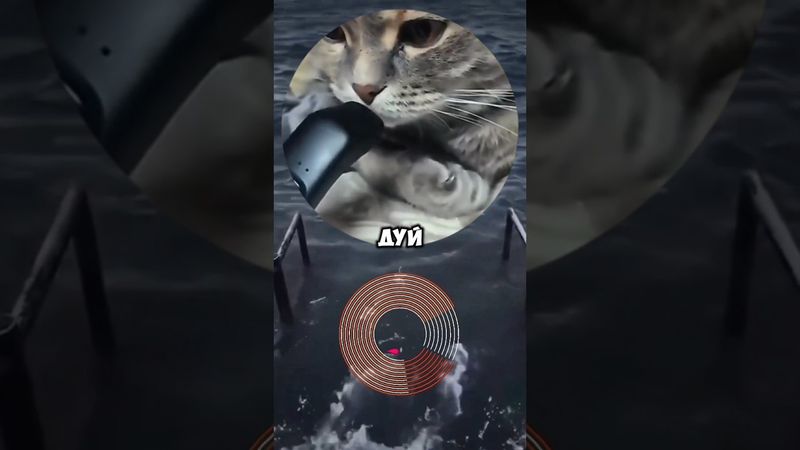 #shorts #кружок #мем #смешно