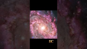 NASA’s Chandra Telescope Reveals Stunning X-ray Views of Black Holes and Star Clusters