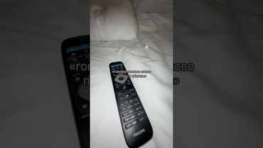 Кто тоже по потолку бегает? Автор видео: @evelinkaaa.2  #комментарии #юмор #мемы